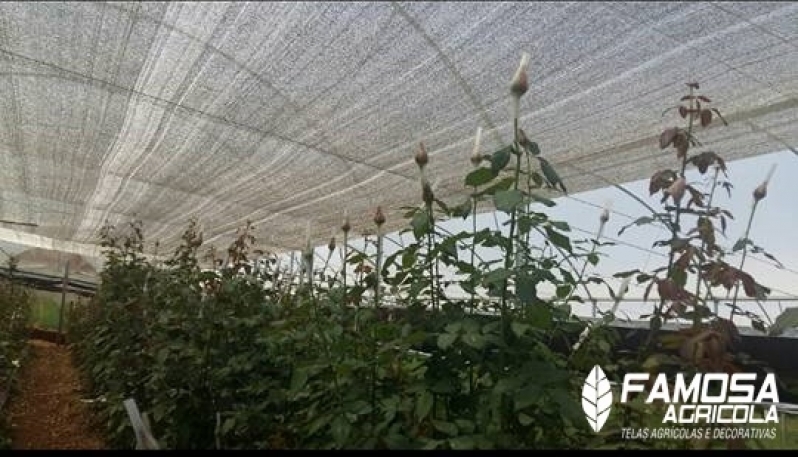 Aluminet para Orquidário João Pessoa - Aluminet 50 para Estufa