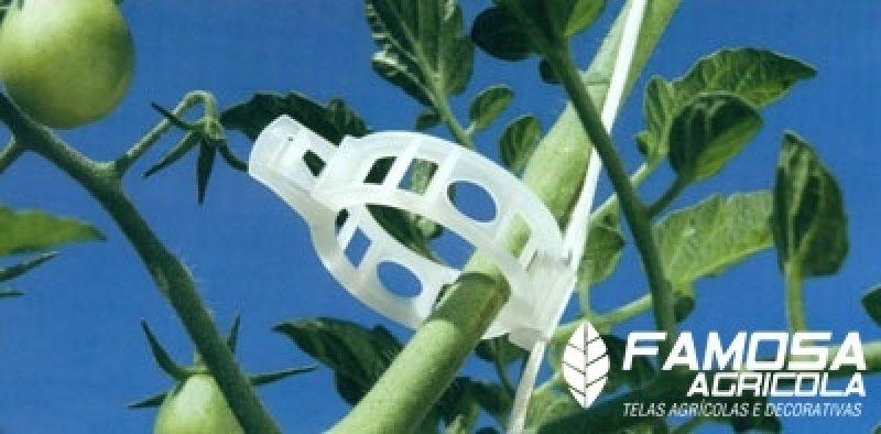 Clips para Plantações Assu - Clips para Enxertia de Tomate