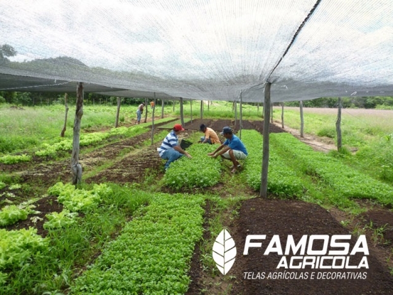 Comprar Tela Agrícola para Plantação São Gonçalo - Tela para Estufa de Plantas