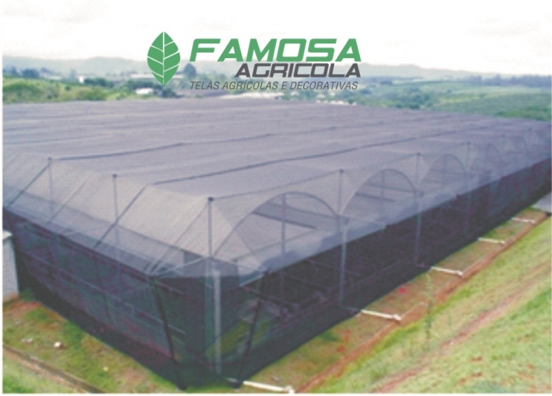 Comprar Tela Agrícola para Plantio Formoso do Araguaia - Tela para Estufa de Plantas