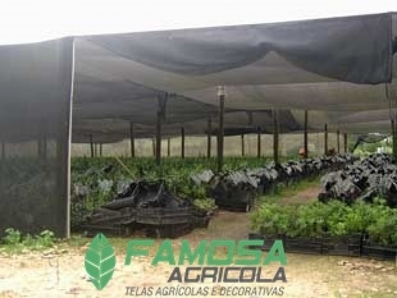 Comprar Tela Agrícola Preta para Alface Macaé - Telas Agrícolas Pretas para Plantação