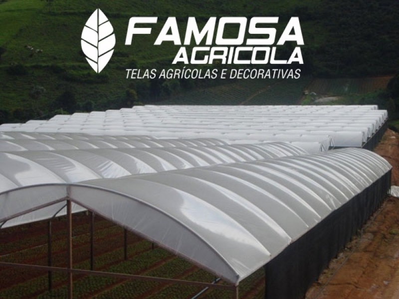 Filmes Plásticos Agrícolas Oeiras - Filmes Plásticos para Agricultura