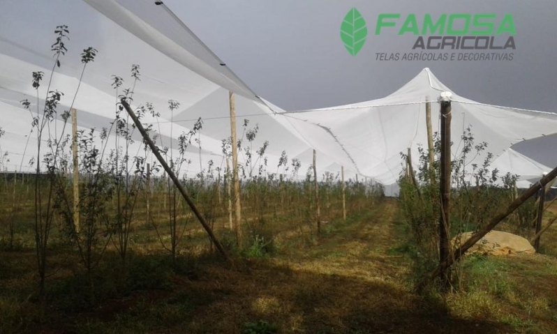 Onde Encontro Tela Agrícola Anti Granizo Blumenau - Tela Agrícola Anti Granizo