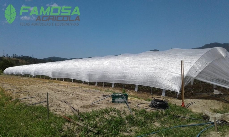 Onde Encontro Tela Térmica Agrícola Dianópolis - Tela Agrícola Anti Granizo