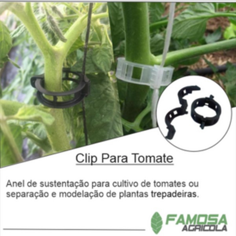 Quanto Custa Agroclips para Telas Santo André - Clips para Tomate