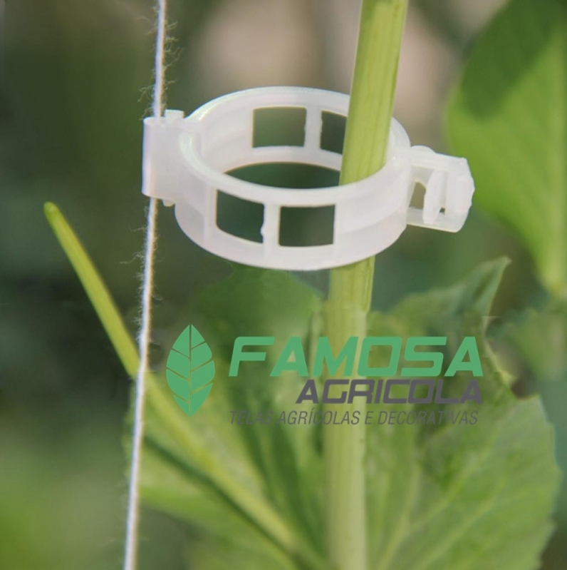 Quanto Custa Clips para Tomate Assu - Agroclip para Tela Agrícola