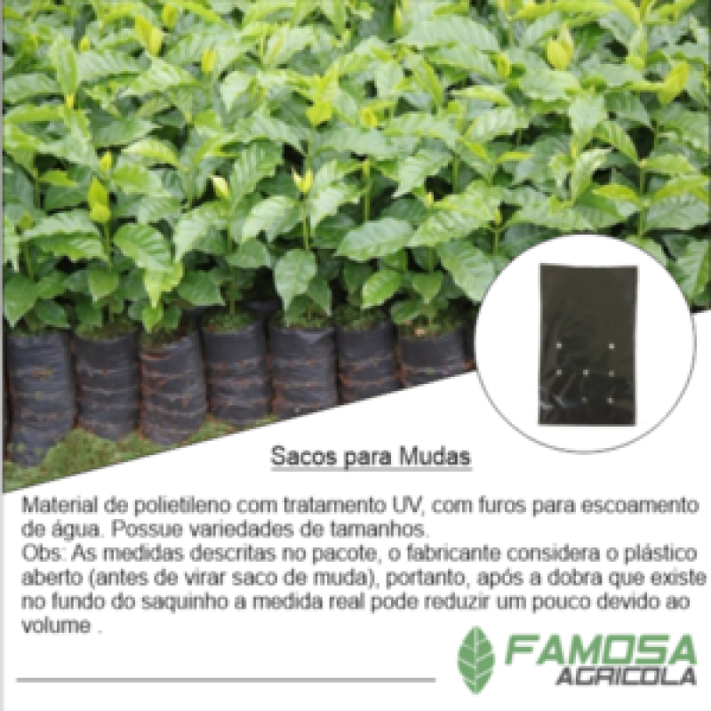 Quanto Custa Condução de Plantas Frutíferas Vilhena - Clips para Tomate