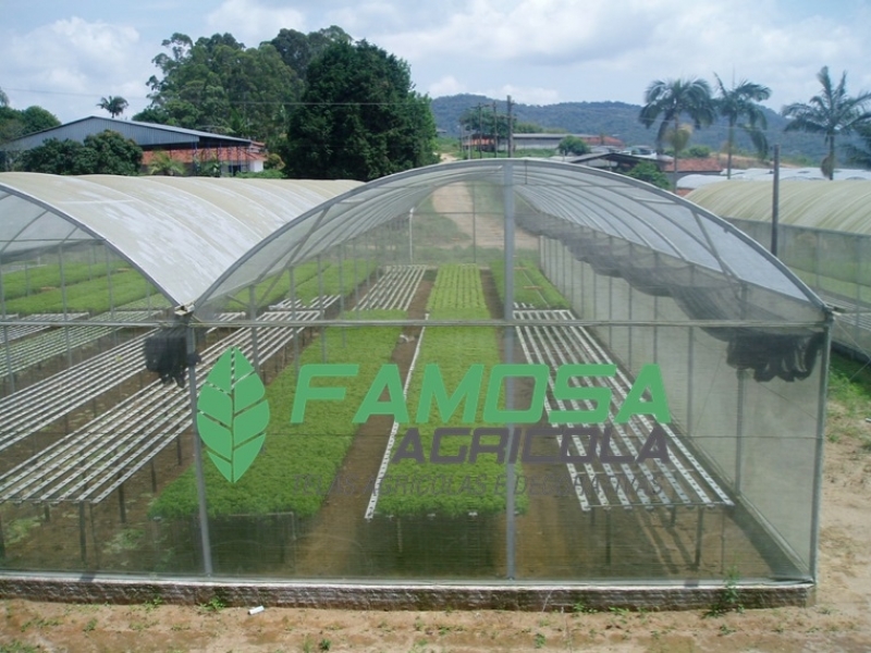 Quanto Custa Lona Agrícola Branca para Estufa Parintins - Tela Mulching para Plantio