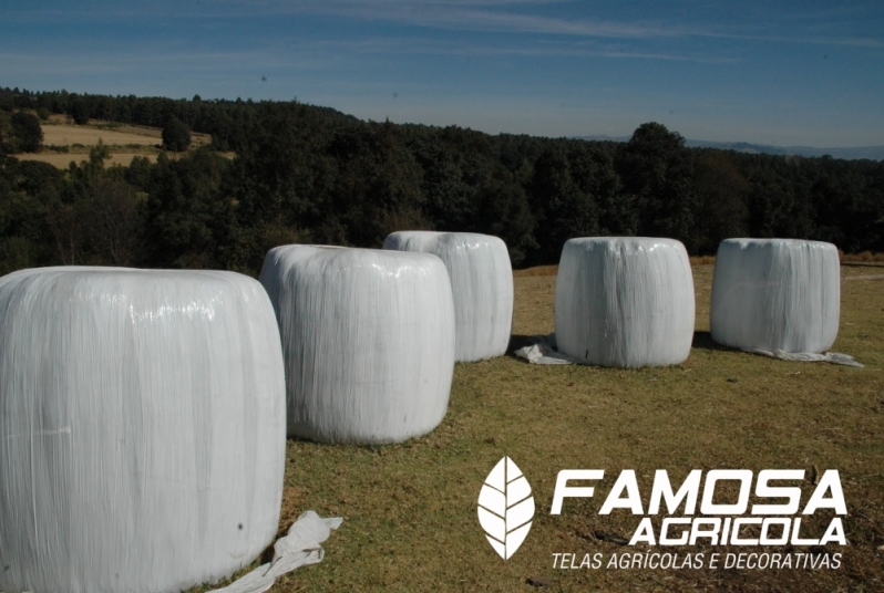 Quanto Custa Lona Agrícola Branca Itupeva - Ráfia de Solo de Plástico