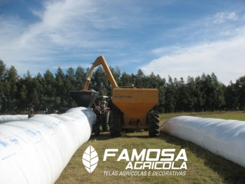 Quanto Custa Lona Agrícola para Silagem de Milho Ponta Porã - Tela Agrícola Mini Túnel para Plantas