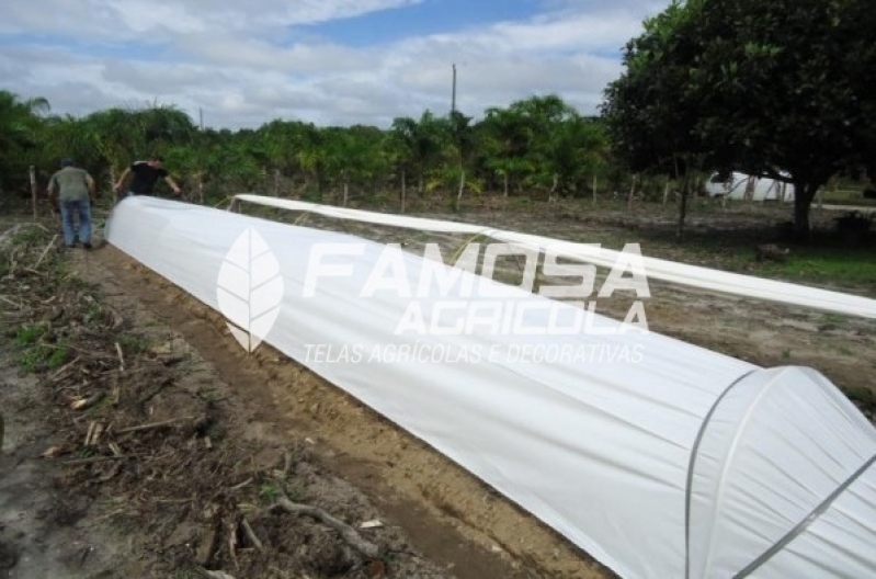 Quanto Custa Tela Agrícola Mini Túnel para Plantação Taubaté - Tela Mulching Preto