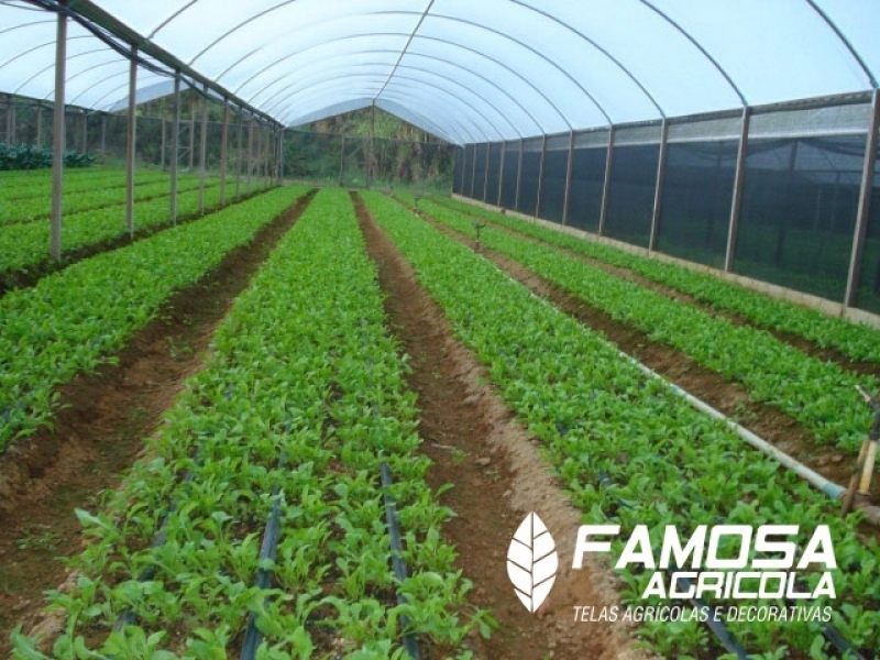 Quanto Custa Tela Agrícola para Plantação Formoso do Araguaia - Tela Agrícola Vermelha