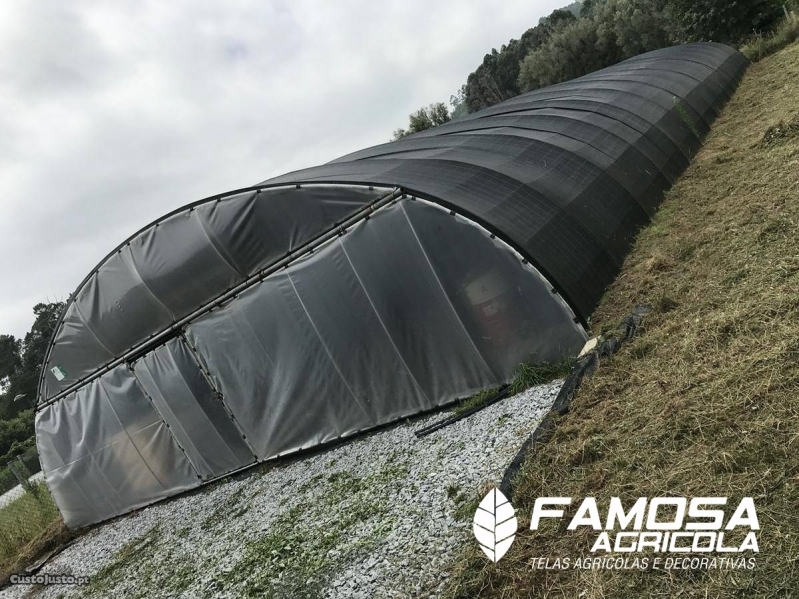 Quanto Custa Tela Agrícola Rachel para Plantação Barras - Tela para Estufa de Plantas