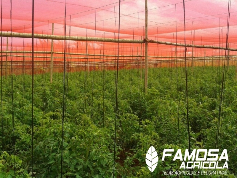 Quanto Custa Tela Agrícola Vermelha Rio Grande da Serra - Tela para Estufa de Plantas