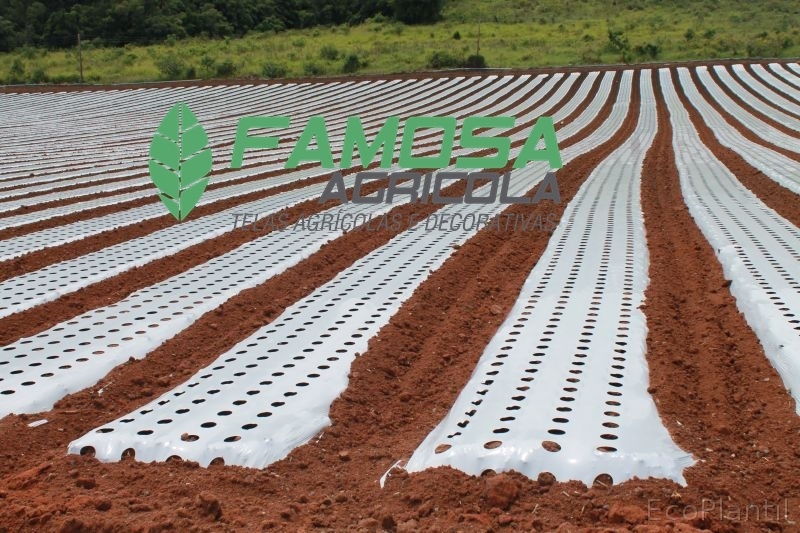 Quanto Custa Tela Mulching Branca Gávea - Tela Mulching para Plantio