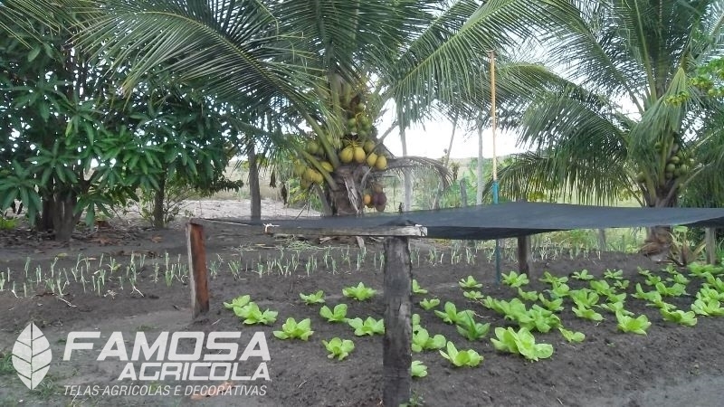 Quanto Custa Tela para Projetos Agrícolas Colombo - Tela Agrícola Preta para Agricultura