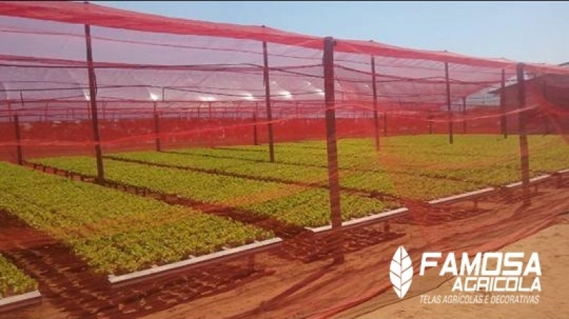 Quanto Custa Tela Sombreamento Vermelha Guarabira - Tela Polysombra de Plantas