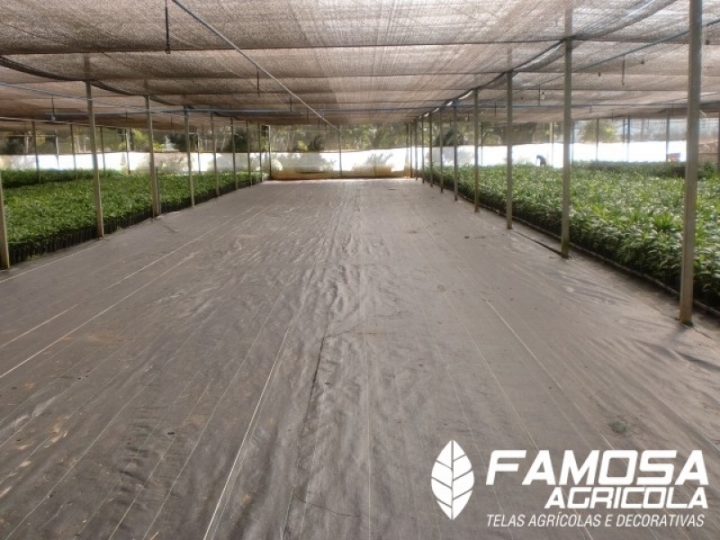 Ráfia Cobertura Solo Preço Bagé - Tela Agrícola Mini Túnel para Plantas