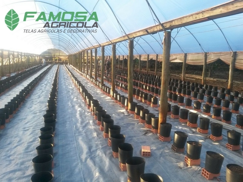 Telas de Ráfia