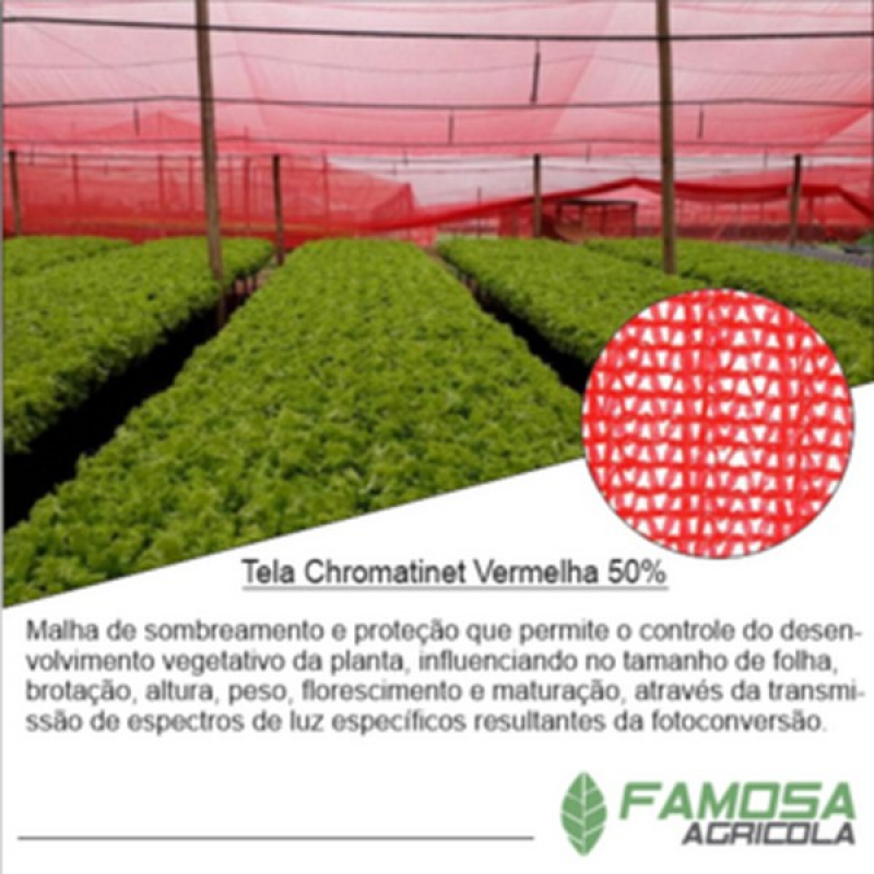 Tela Agrícola para Plantação Caxias do Sul - Tela Agrícola