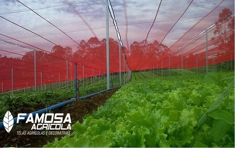 Tela Agrícola Vermelha Mâncio Lima - Tela para Estufa de Plantas