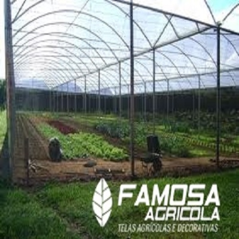 Tela Anti Afídeo 3 Metros para Comprar Açailândia - Tela Anti Afídeo Agrícola