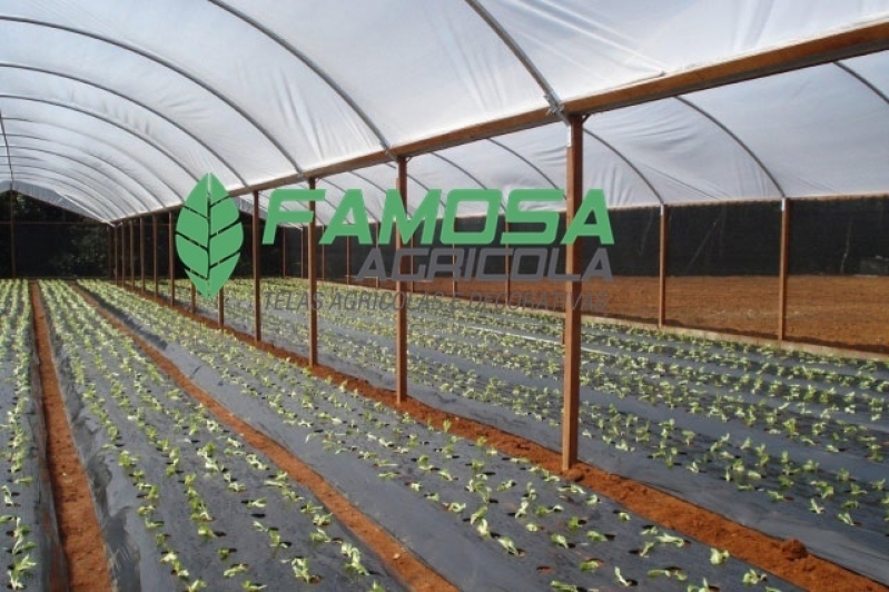 Tela Mulching para Plantio Preço Itumbiara - Lona Agrícola Preta para Estufa