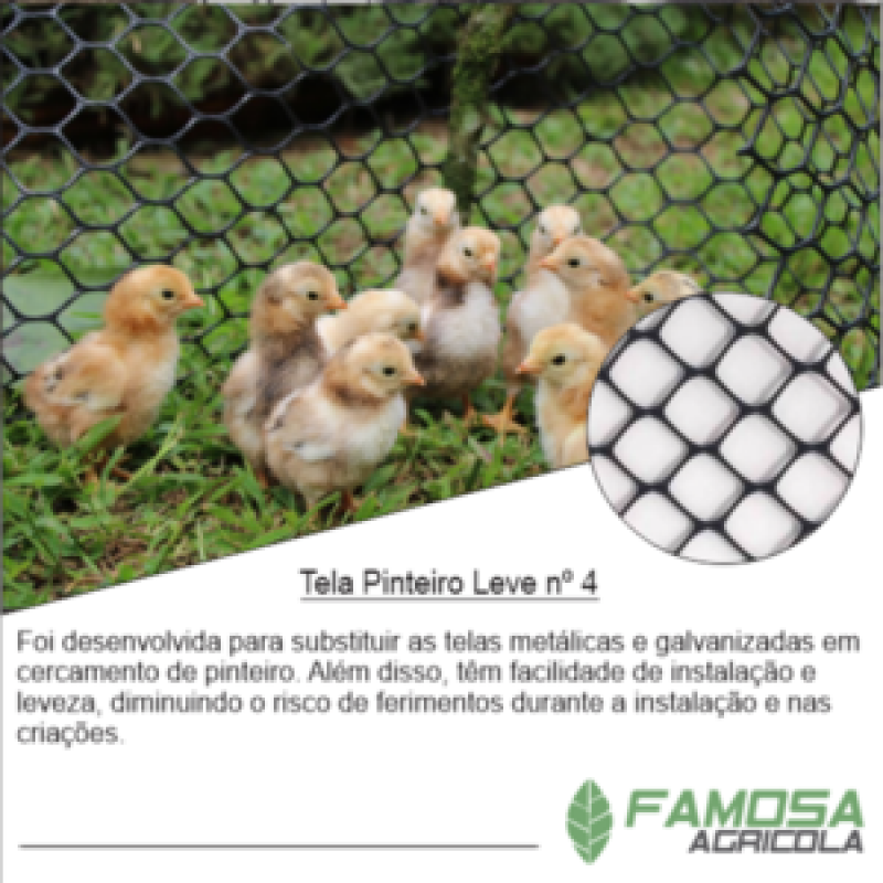 Tela Plástica para Peixes Preço Jaboatão dos Guararapes - Tela Hexagonal Galvanizada