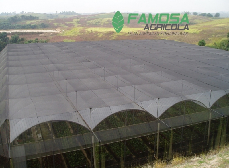 Tela Sombrite 50 Poço Redondo - Tela Sombrite para Horta Tela Sombrite 50 Poço Redondo - Tela Sombrite para Horta