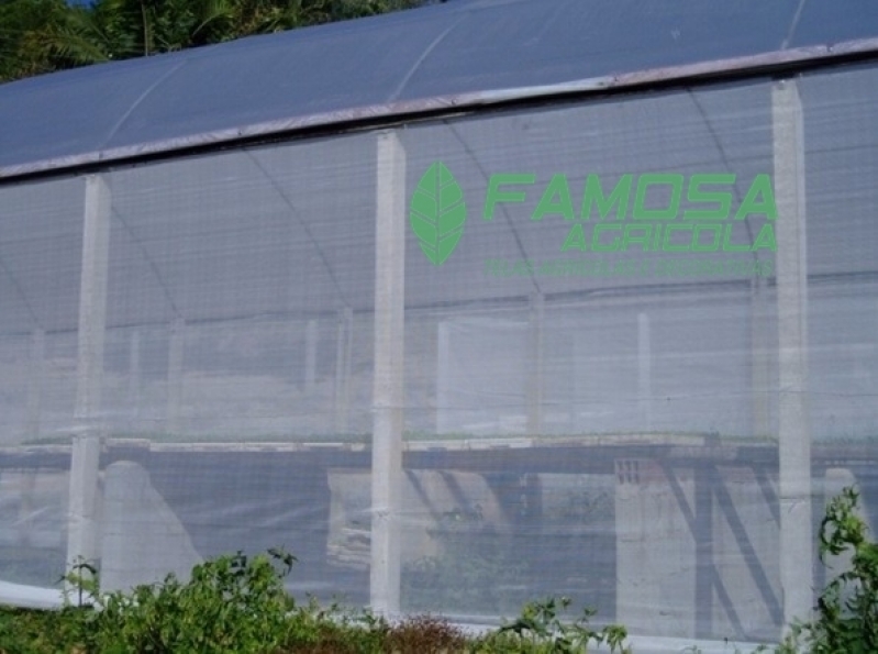 Telas Anti Afídeo Pulgões Espigão D'Oeste - Tela Anti Afídeo Plantação Telas Anti Afídeo Pulgões Espigão D'Oeste - Tela Anti Afídeo Plantação