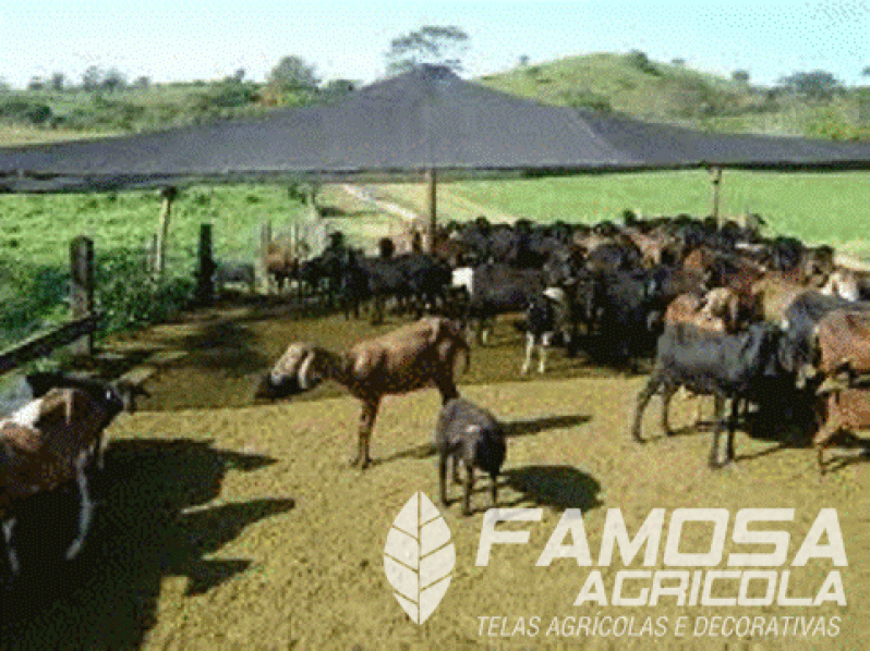 Telas para Uso Agrícola Pernambuco - Tela Sombreamento Agrícola