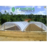 comprar filmes plásticos para estufas agrícolas Naviraí