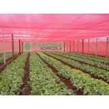 comprar tela agrícola para alface Abaetetuba