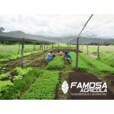comprar tela agrícola para plantação Águas Lindas de Goiás