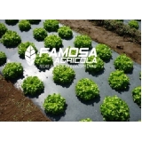 Tela Mulching para Plantio