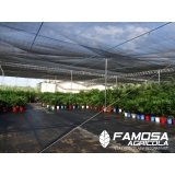 lona agrícola preta para estufa Paço do Lumiar
