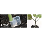 quanto custa clips para enxertia de tomate Acre