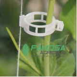 quanto custa clips para tomate Russas