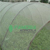 quanto custa tela agrícola para alface Sapucaia do Sul