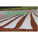 quanto custa tela mulching branca Ananindeua