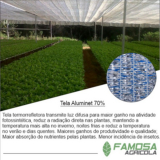 tela agrícola mini túnel para plantação Xanxerê