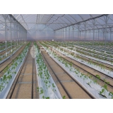 tela agrícola para estufa Campina Grande