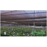 tela agrícola para horta Extremoz