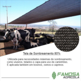 tela agrícola preta para gado Caarapó