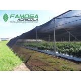 tela agrícola rachel para plantação preço São Paulo de Olivença