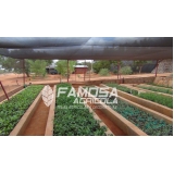 tela agrícola sombrite preços Pacatuba