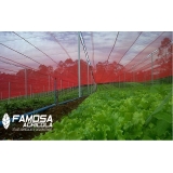 tela agrícola vermelha Amapá