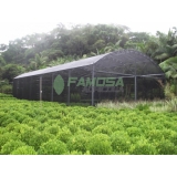 tela agrícola Santana do Ipanema