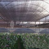 tela anti afídeo para plantação Nova Friburgo