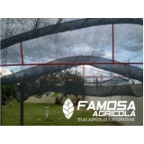 tela de ráfia para sombra Arapongas